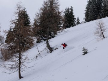 Powder