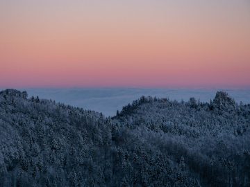 Morgenstund...