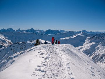 Dolomitenblick