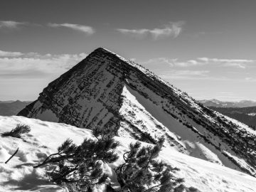 Sonntagshorn