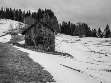 wo ist der Schnee?