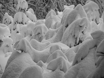 tiefster Winter