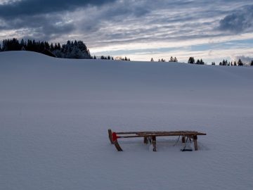 Schlittenfahren