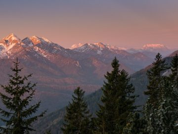 Westblick