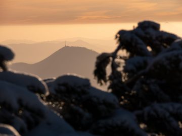 Gaisberg