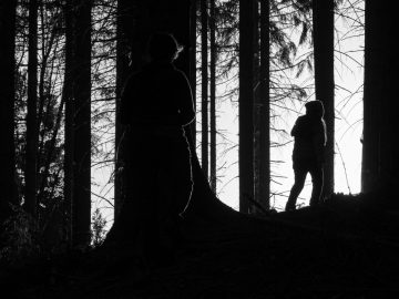 into the light
