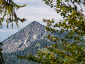 Kaiserblick