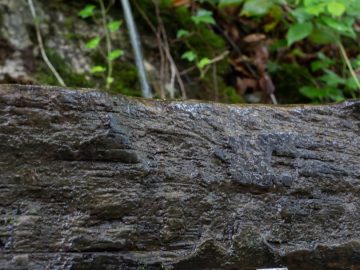 Erfrischung gefällig?