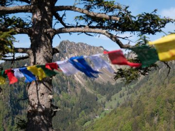 Nesslaueralm und Haaralmschneid