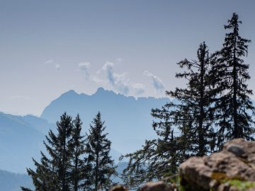 Kaiserblick