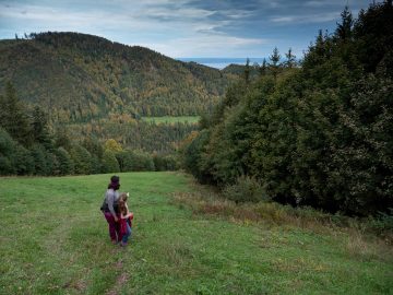 herbstlicher Chiemseeblick