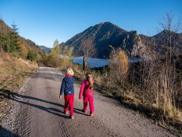 zurück in den Nebel