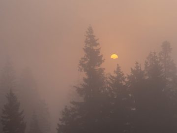 dann der Nebel, die Sonne hinter dem Gruberhörndl