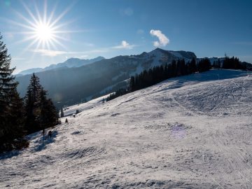 das gelobte Land unerreichbar