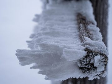 brrrr