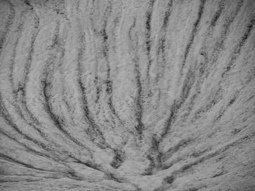 Spuren im Schnee I