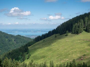 Chiemseeblick