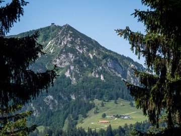 Fellnblick