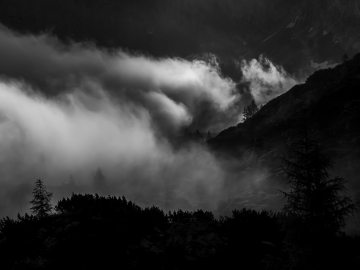 Licht & Schatten I