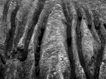 Wasserrillen II