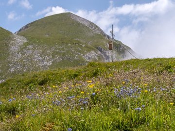 Edelweißkogel