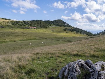 Roßalm