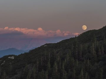 Supermond