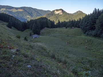 Untere Hutzenalm