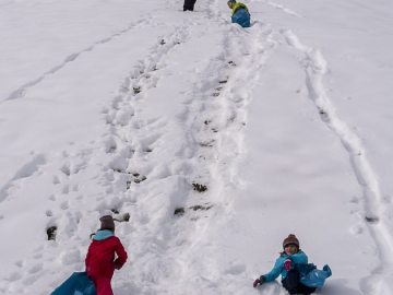 geht scho