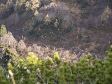 Blick ins Ostertal