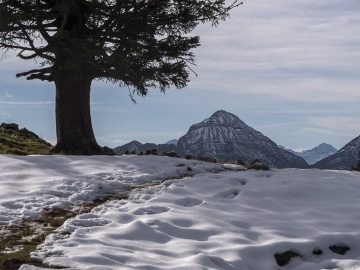 Sonntagshorn