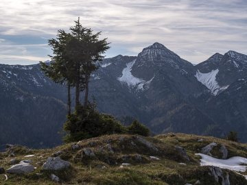 nochmal Sonntagshorn