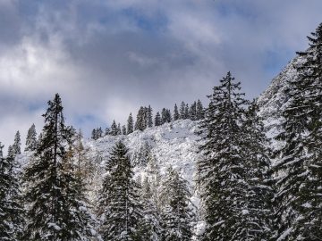 schön!