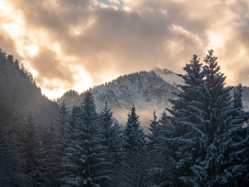 Abendstimmung