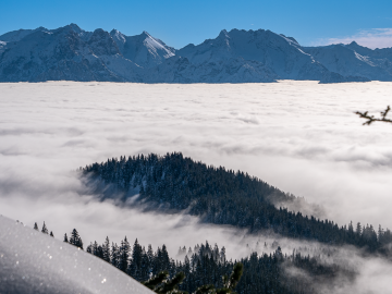 Nebelmeer