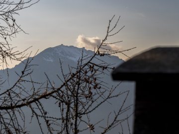 Fellnblick