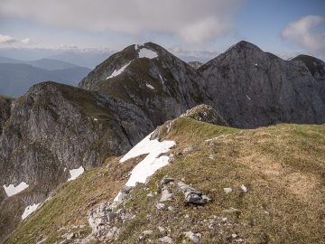 der weitere Weg
