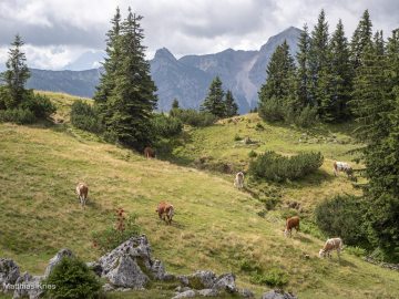 Sonntagshornblick