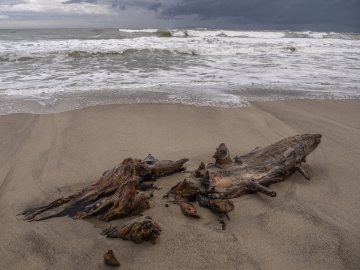 am Tyrrhenisches Meer