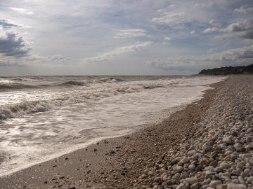 wilde Adria...