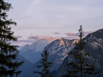König im Abendlicht