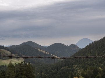 Rauschberg