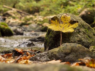 Herbst!