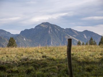 Hochgern