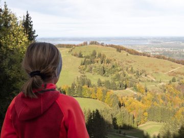 Talblick