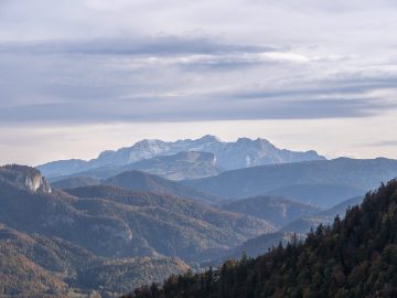 Steinplatte und Loferer