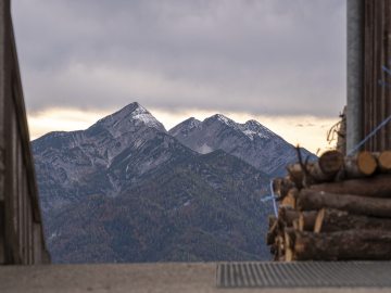 Sonntagshorn auch schon angezuckert