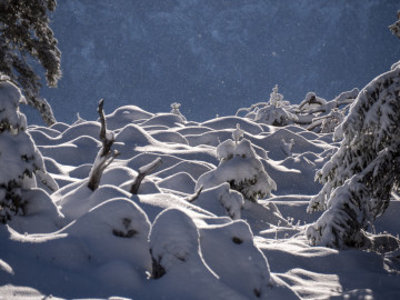 Winter!!!